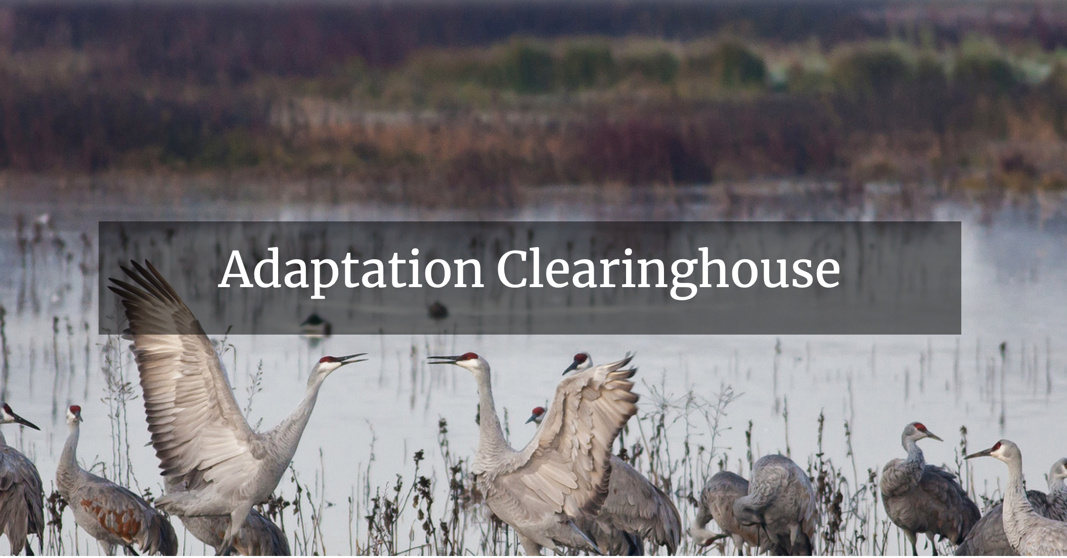 Adaptation Clearinghouse