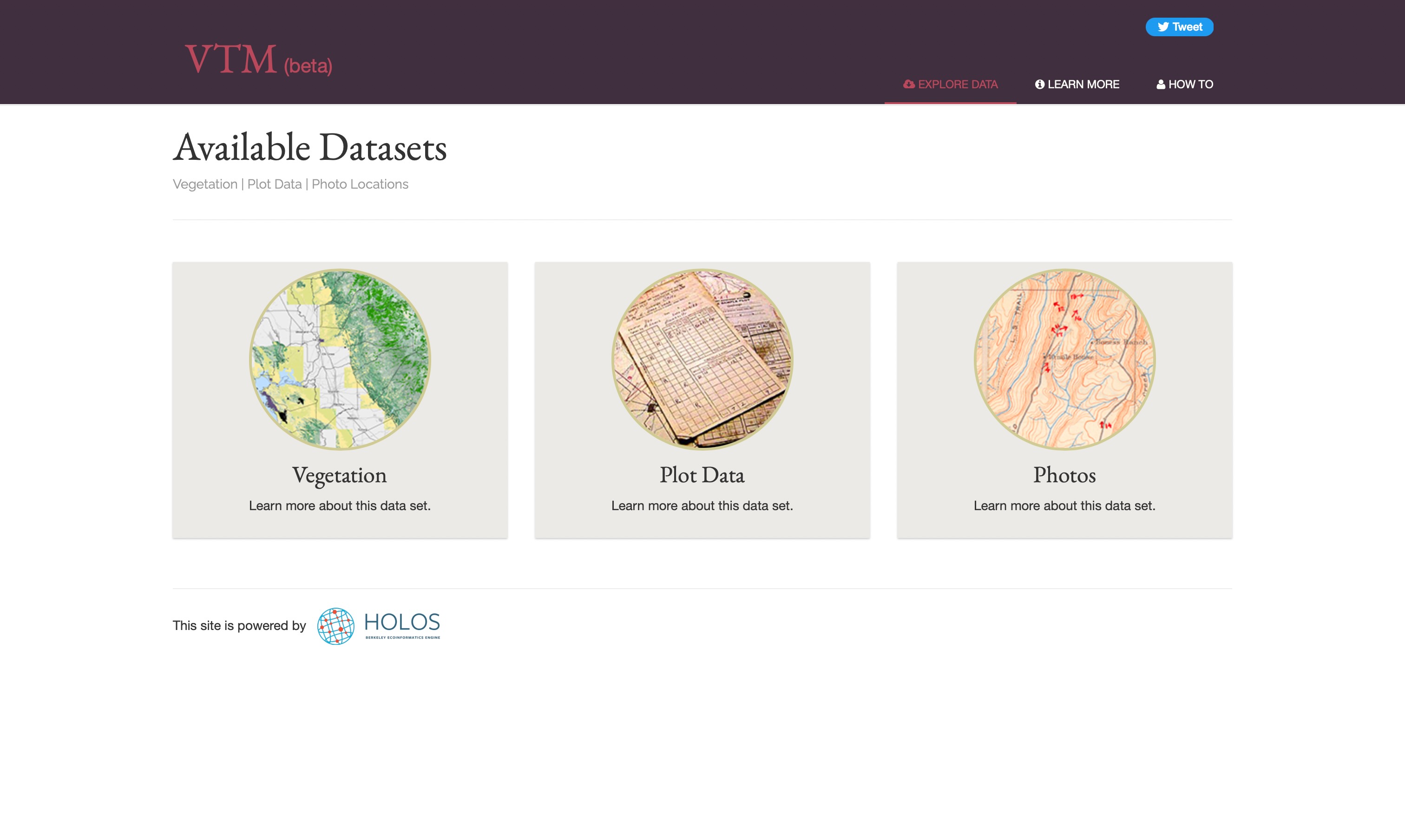 Screenshot of the VTM datasets page