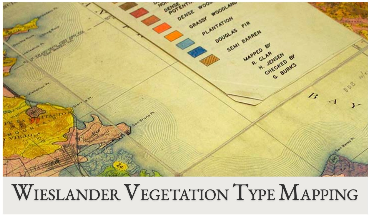 Vegetation Type Mapping